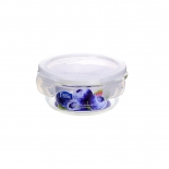 Small Glass Food Storage Containers